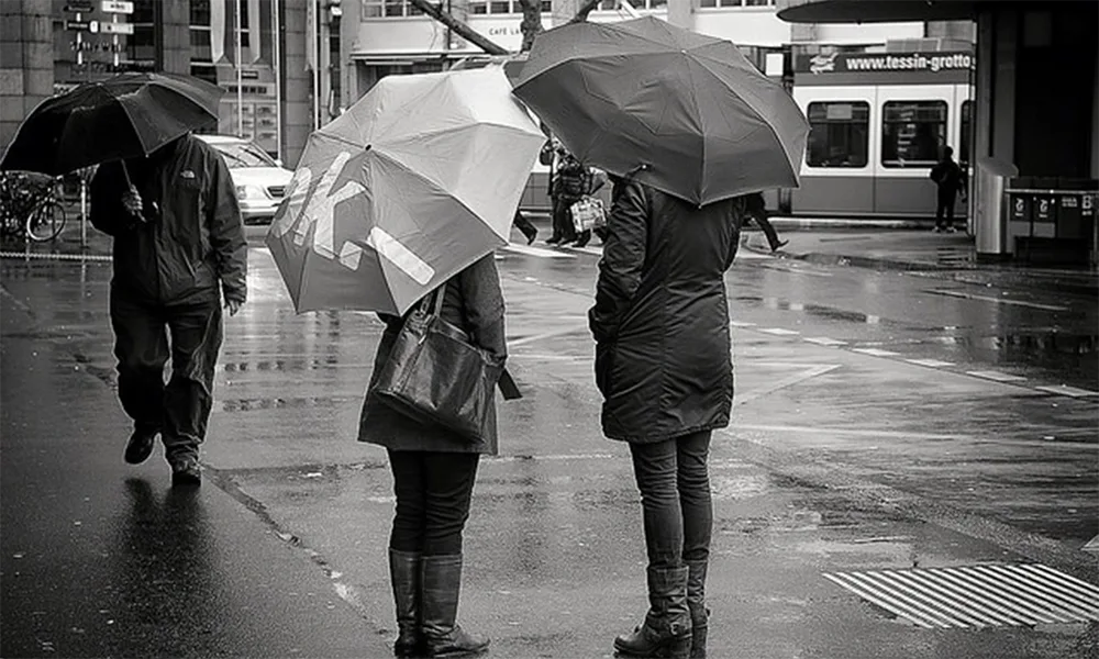 Rainproofed black treated leather image